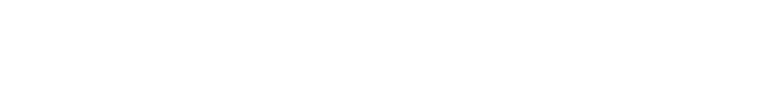CEO Minds